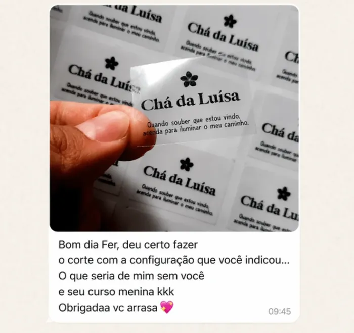 Depoimento de aluna 3 mostrando o resultado do corte na Silhouette